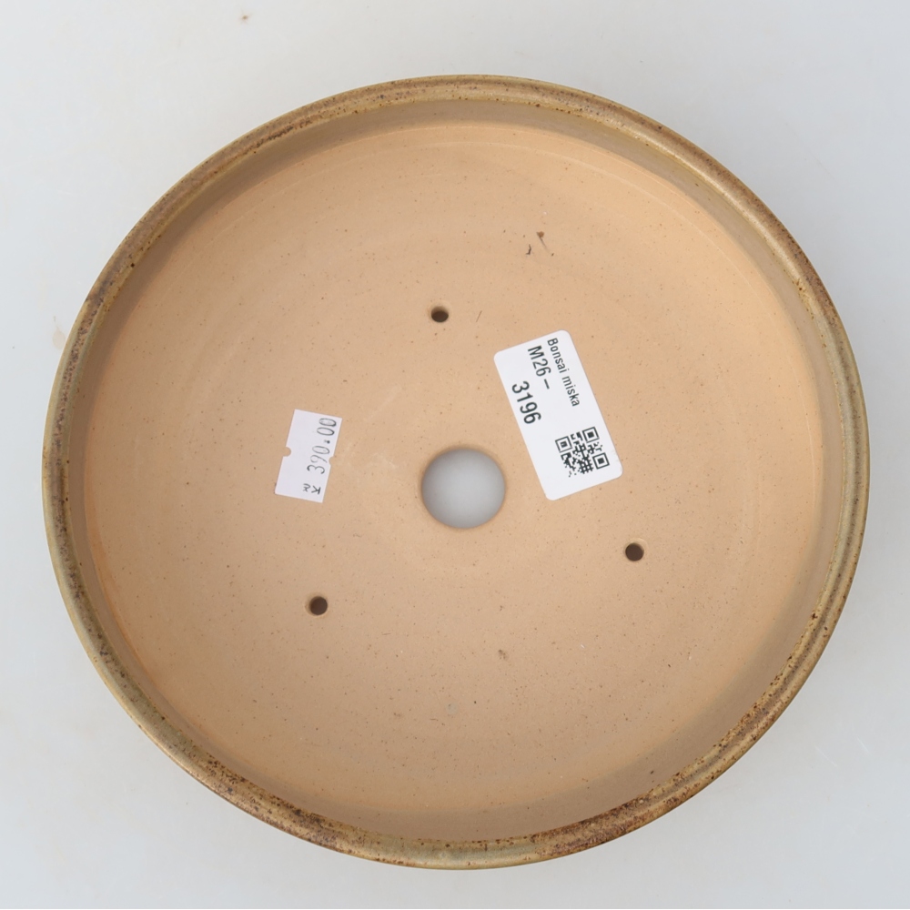 Vaso da bonsai in ceramica 17,5 x 17,5 x 5,5 cm, colore beige