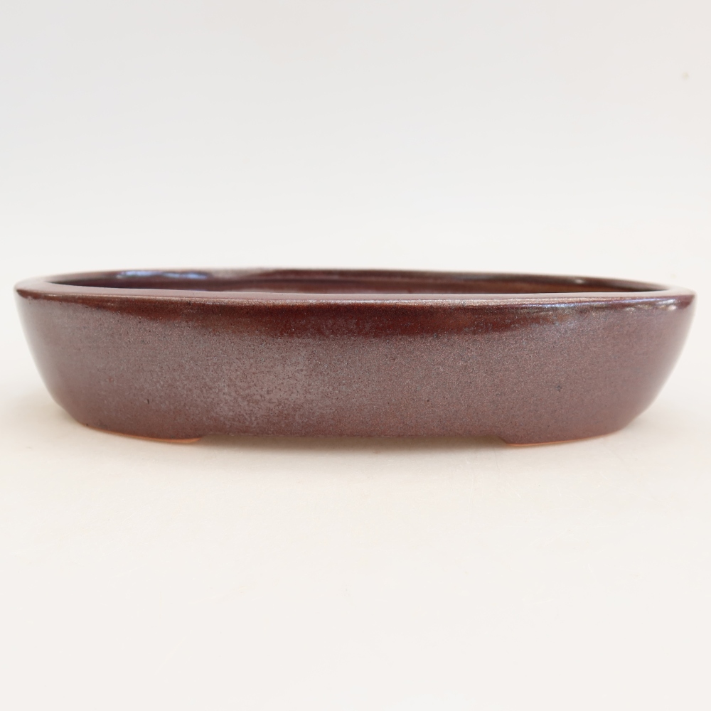 Vaso da bonsai in ceramica 22 x 17 x 4 cm, colore bordeaux