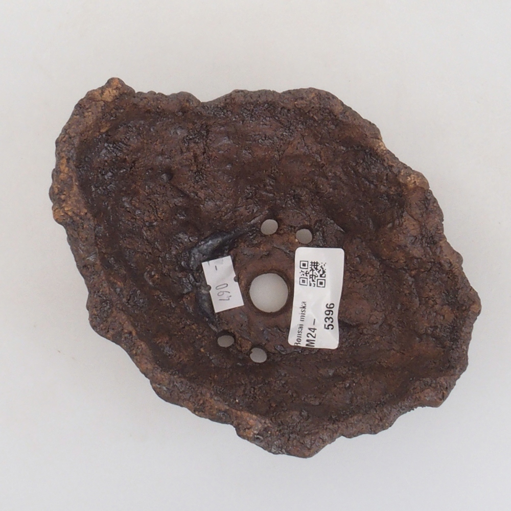 Conchiglia in ceramica 13 x 10,5 x 12,5 cm , colore marrone