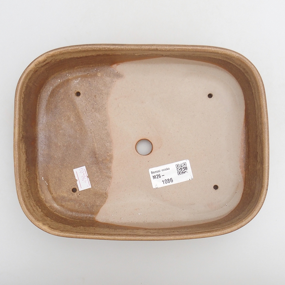 Ciotola bonsai in ceramica 23 x 18,5 x 5,5 cm, marrone