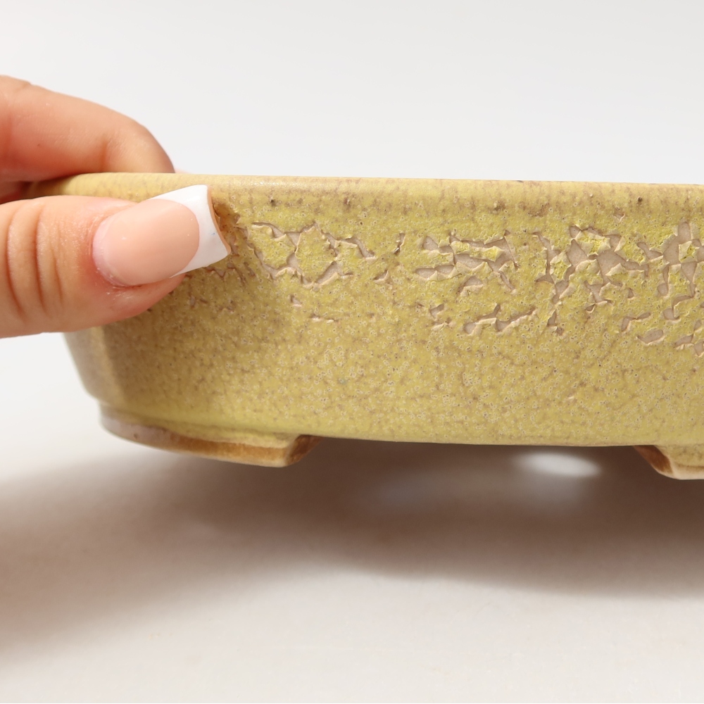 Vaso da bonsai in ceramica 18,5 x 16,5 x 4,5 cm, colore giallo