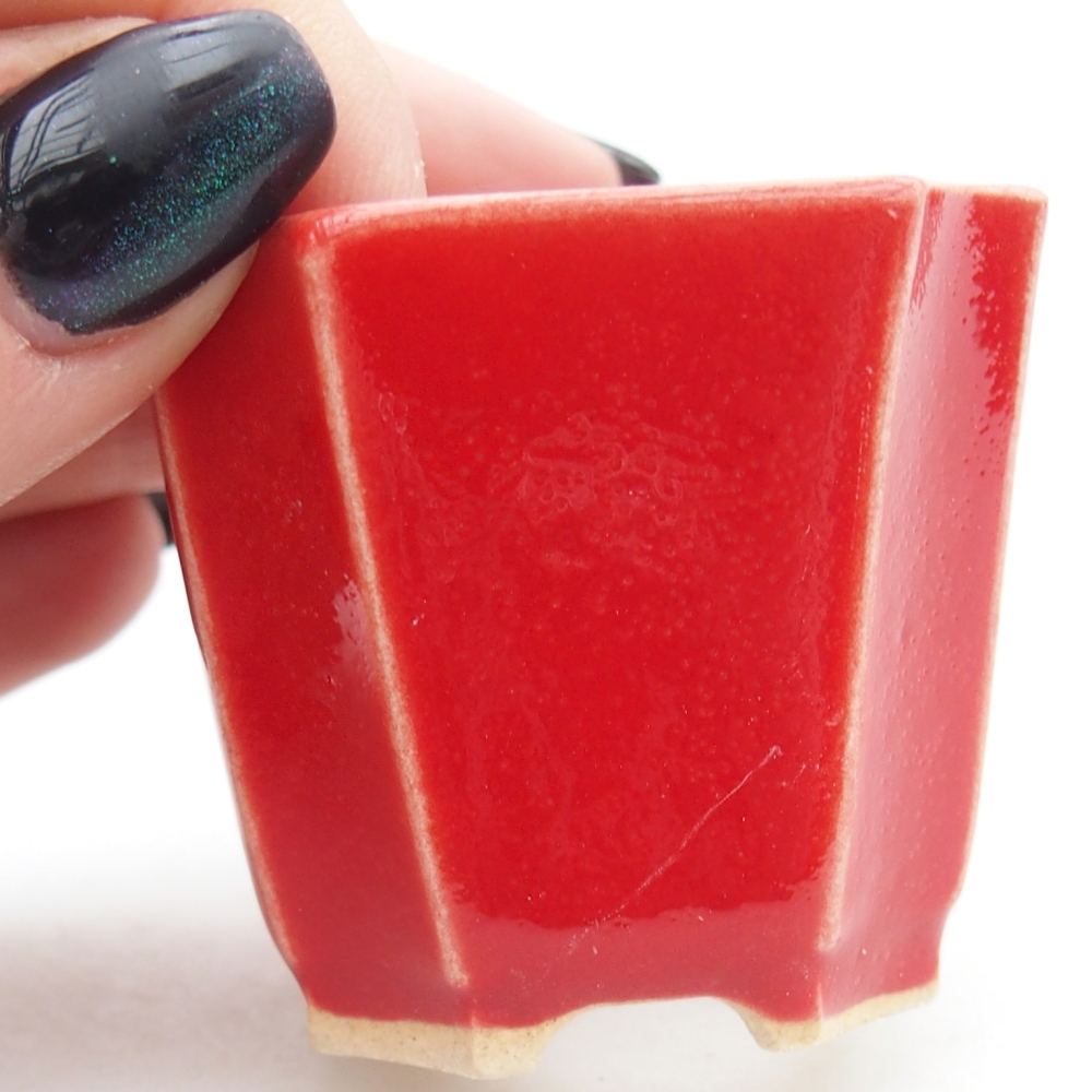 Mini bonsai 4,5 x 4,5 x 4 cm, colore rosso