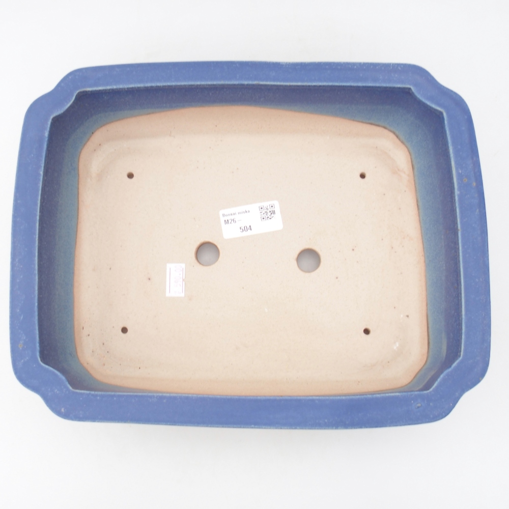 Ciotola bonsai in ceramica 28 x 22 x 7 cm, colore blu