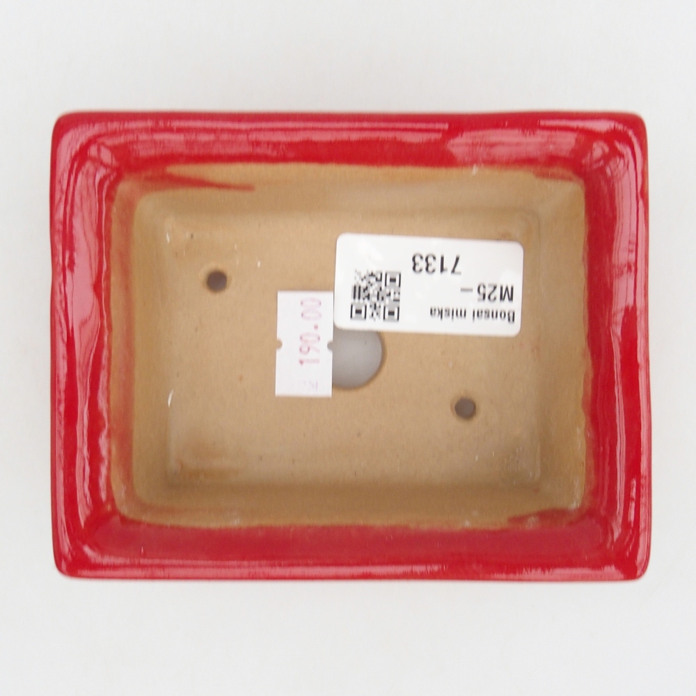 Ciotola bonsai in ceramica 26 x 26 x 8 cm, colore rosso