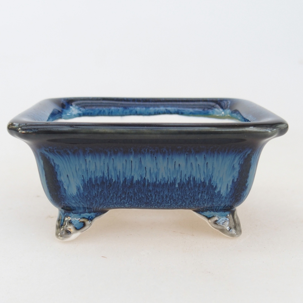 Mini bonsai 7 x 5,5 x 3 cm, colore blu