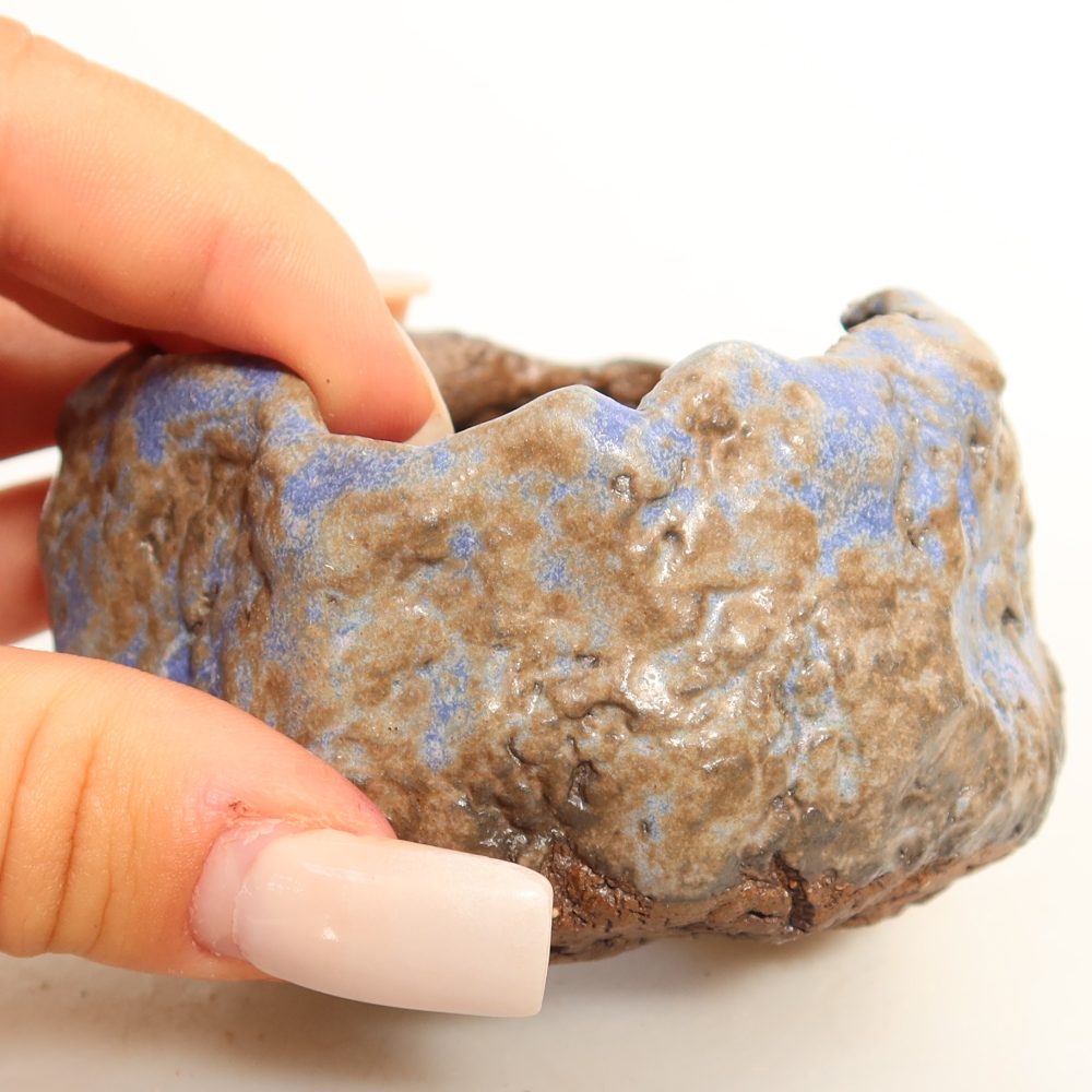 Guscio in ceramica  7 x 7 x 5 cm, colore blu-marrone