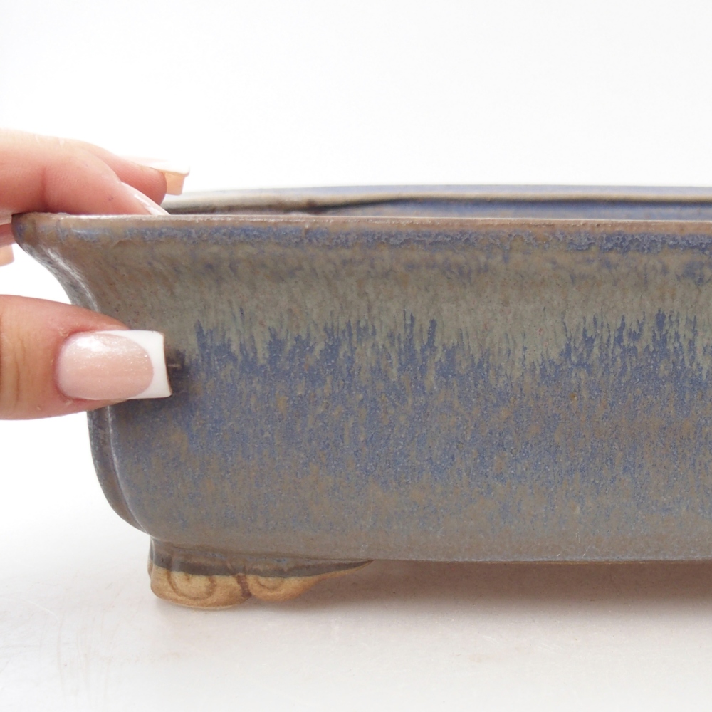Ciotola bonsai in ceramica 25 x 20 x 7 cm, colore blu