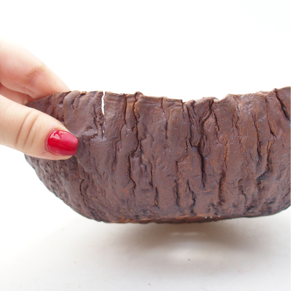 Conchiglia in ceramica 20 x 19 x 6,5 cm , colore marrone