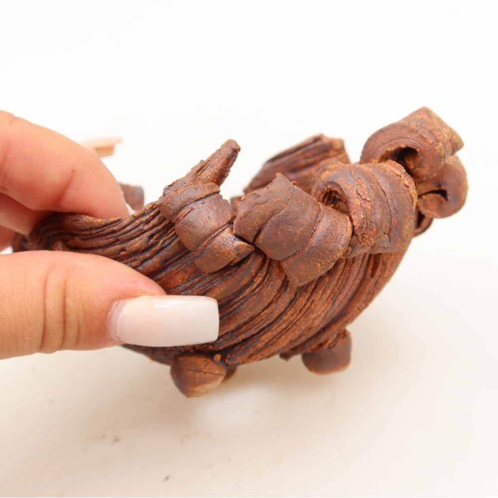 Guscio in ceramica  11,5 x 8,5 x 6,5 cm, colore marrone