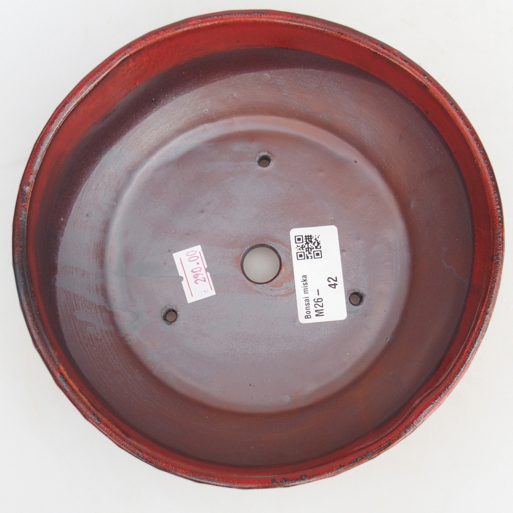 Ciotola per bonsai in ceramica 18 x 18 x 5,5 cm, colore rosso