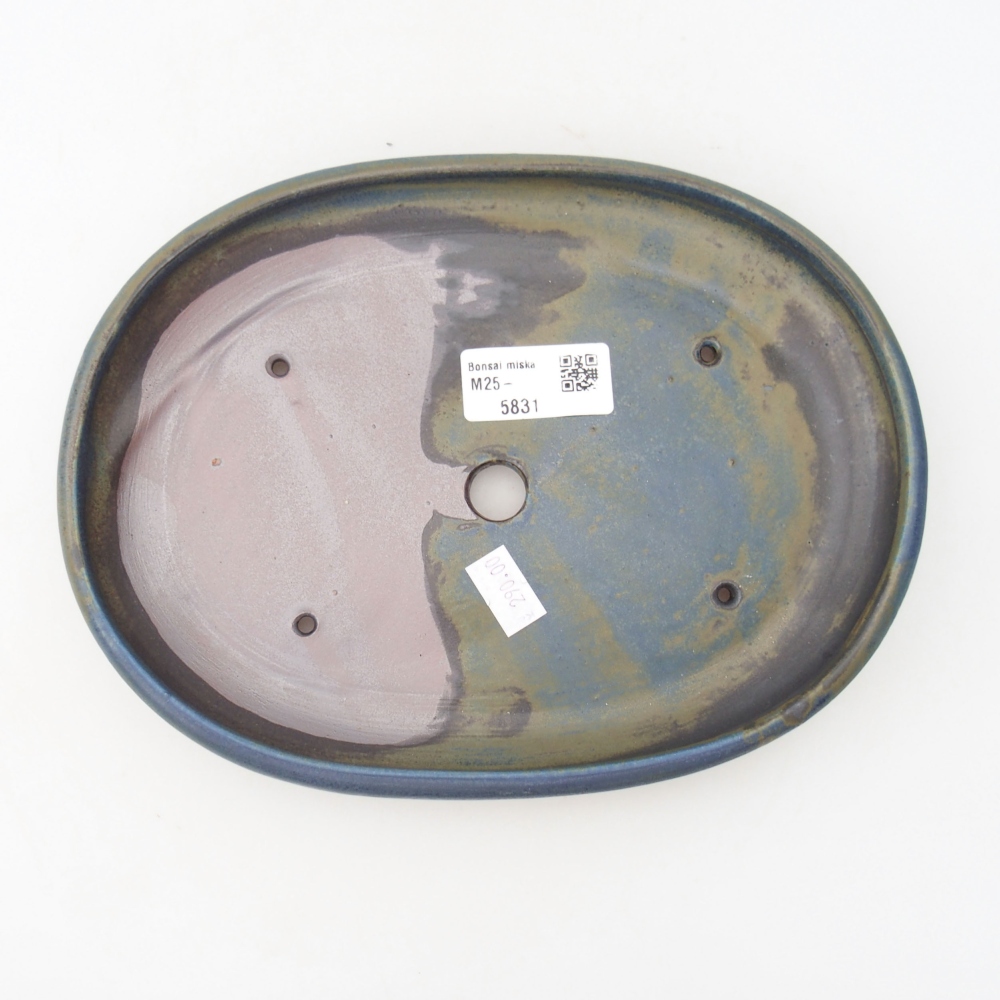 Ciotola bonsai in ceramica 22 x 17 x 5 cm, verde