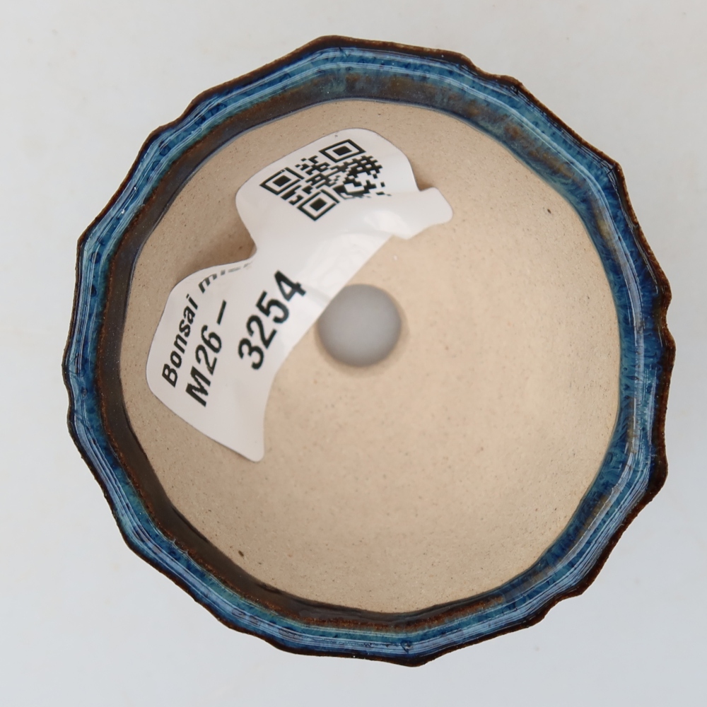 Vaso da bonsai in ceramica 5,5 x 5,5 x 3,5 cm, colore blu