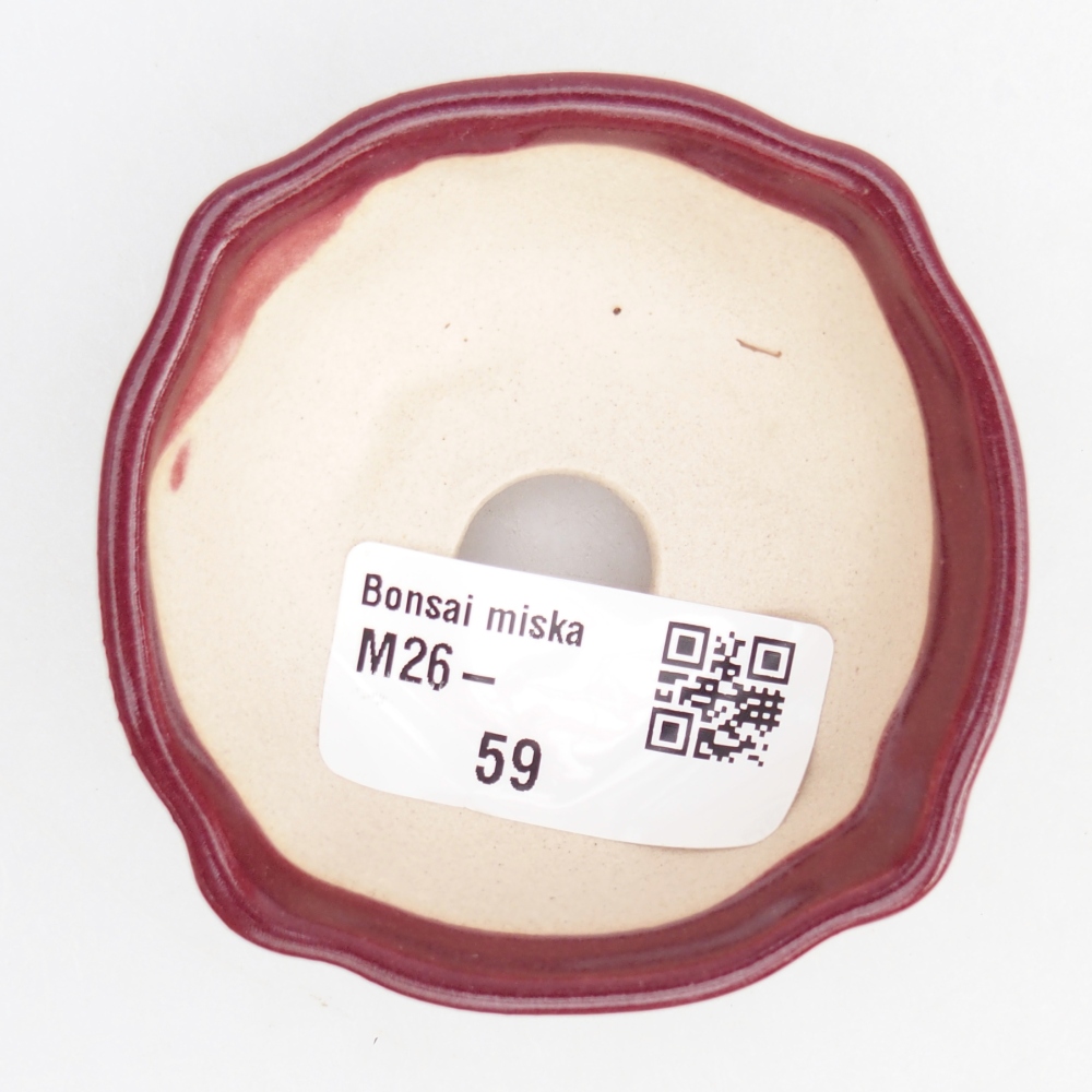 Ciotola per mini bonsai 6,5 x 6,5 x 3 cm, bordeaux