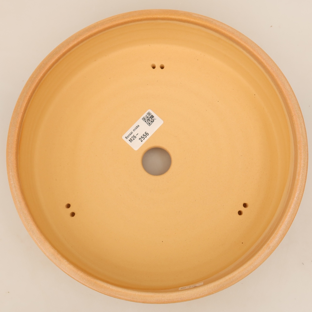 Vaso da bonsai in ceramica 26 x 26 x 6,5 cm, colore beige