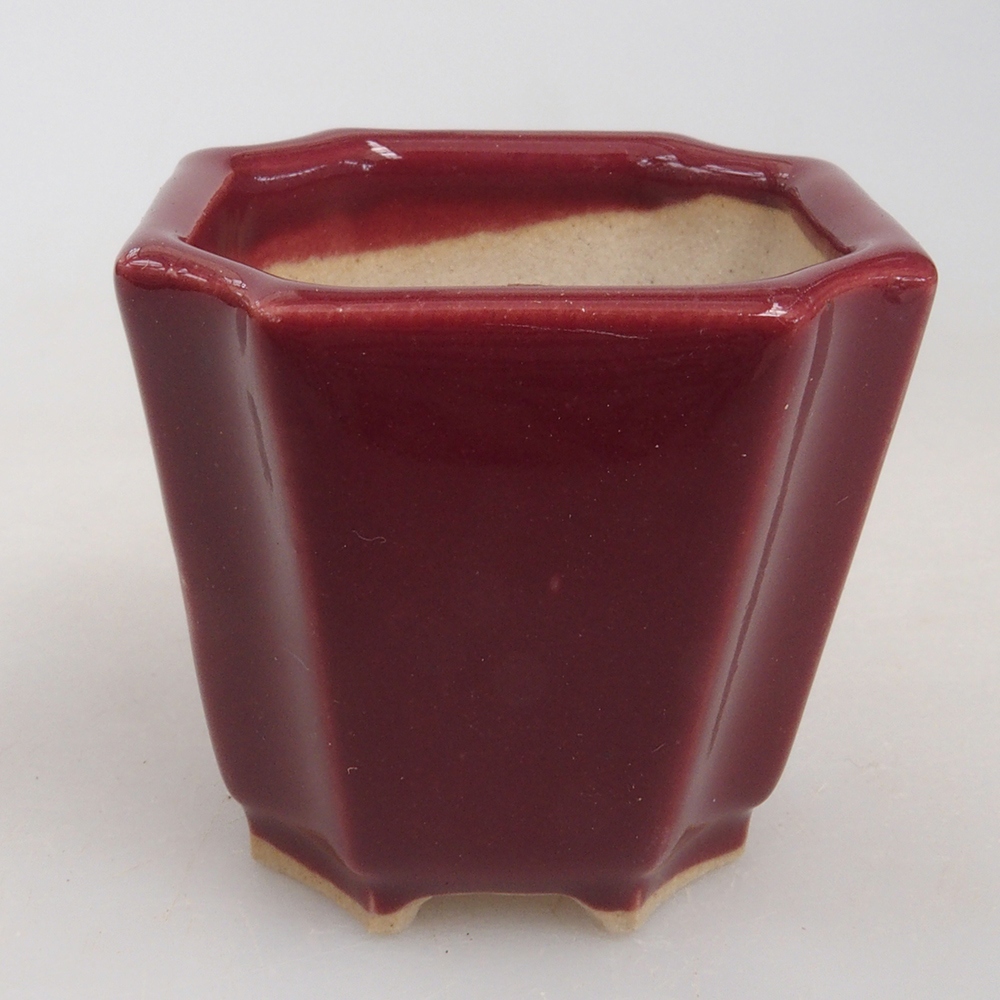 Ciotola per mini bonsai 4 x 4 x 4 cm, bordeaux
