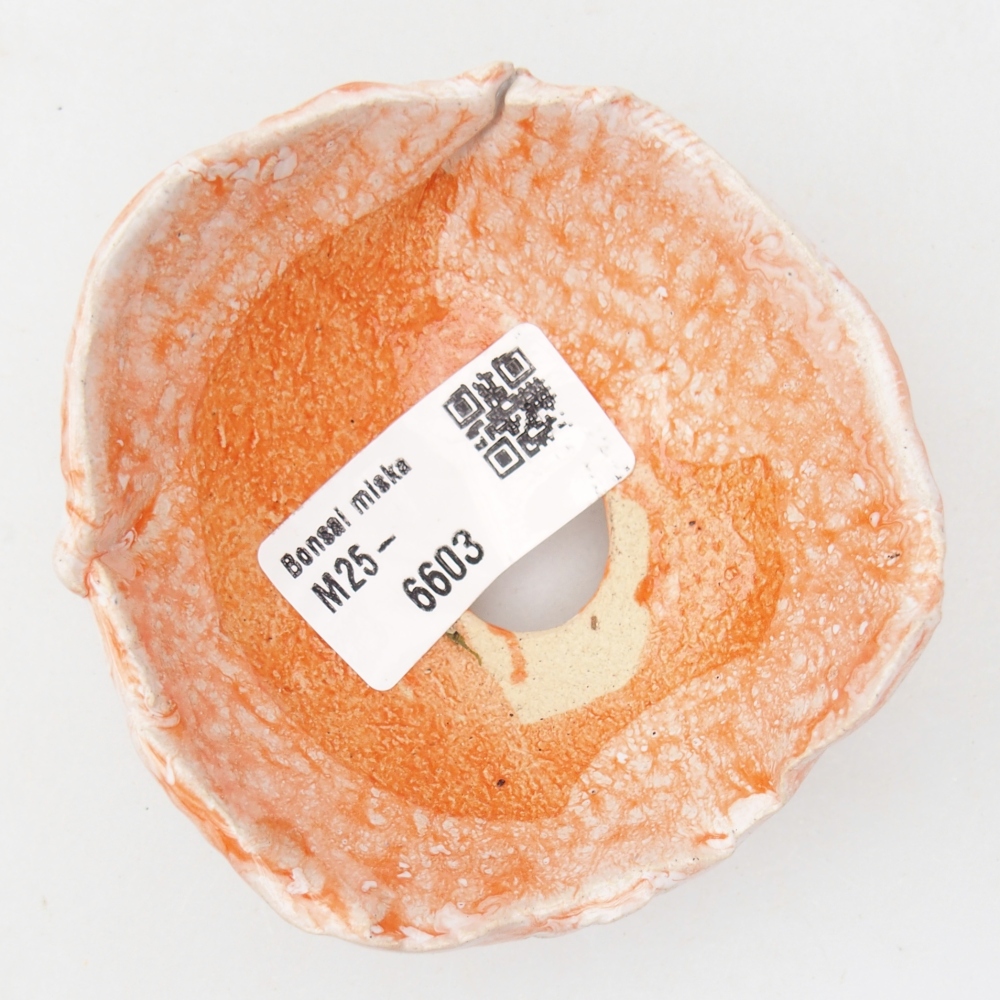 Conchiglia in ceramica 8 x 8 x 4,5 cm , colore arancione