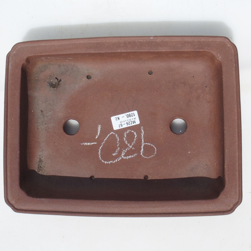 Ciotola per bonsai 34 x 25,5 x 6 cm - marrone