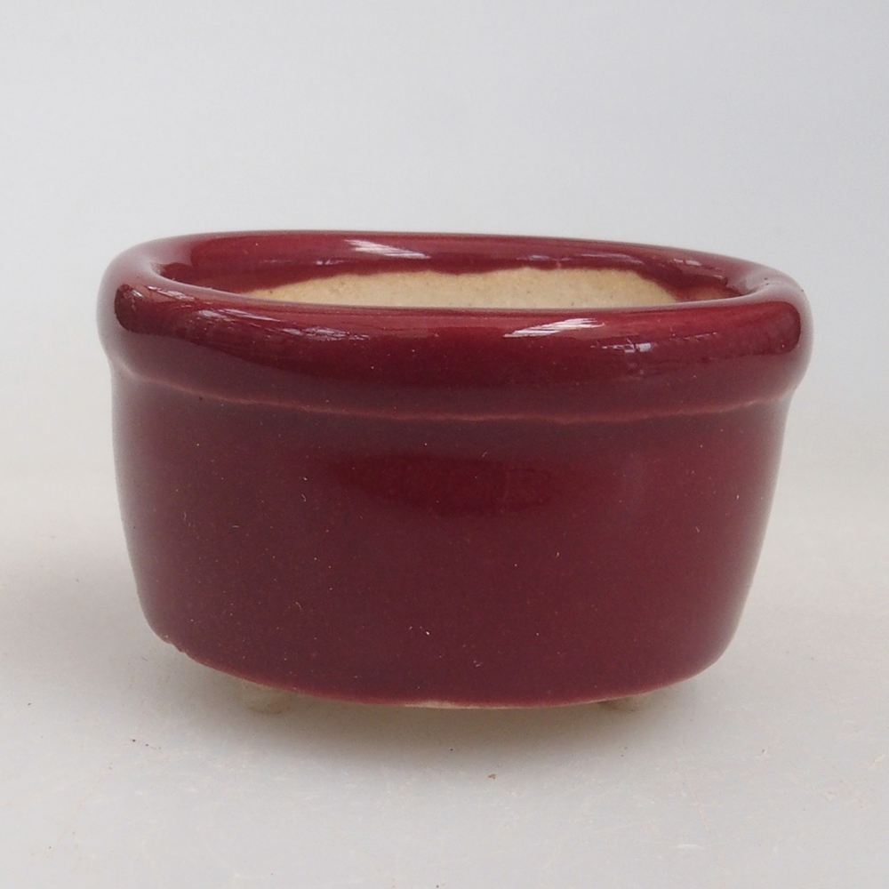 Mini bonsai 3,5 x 3,5 x 2 cm, bordeaux