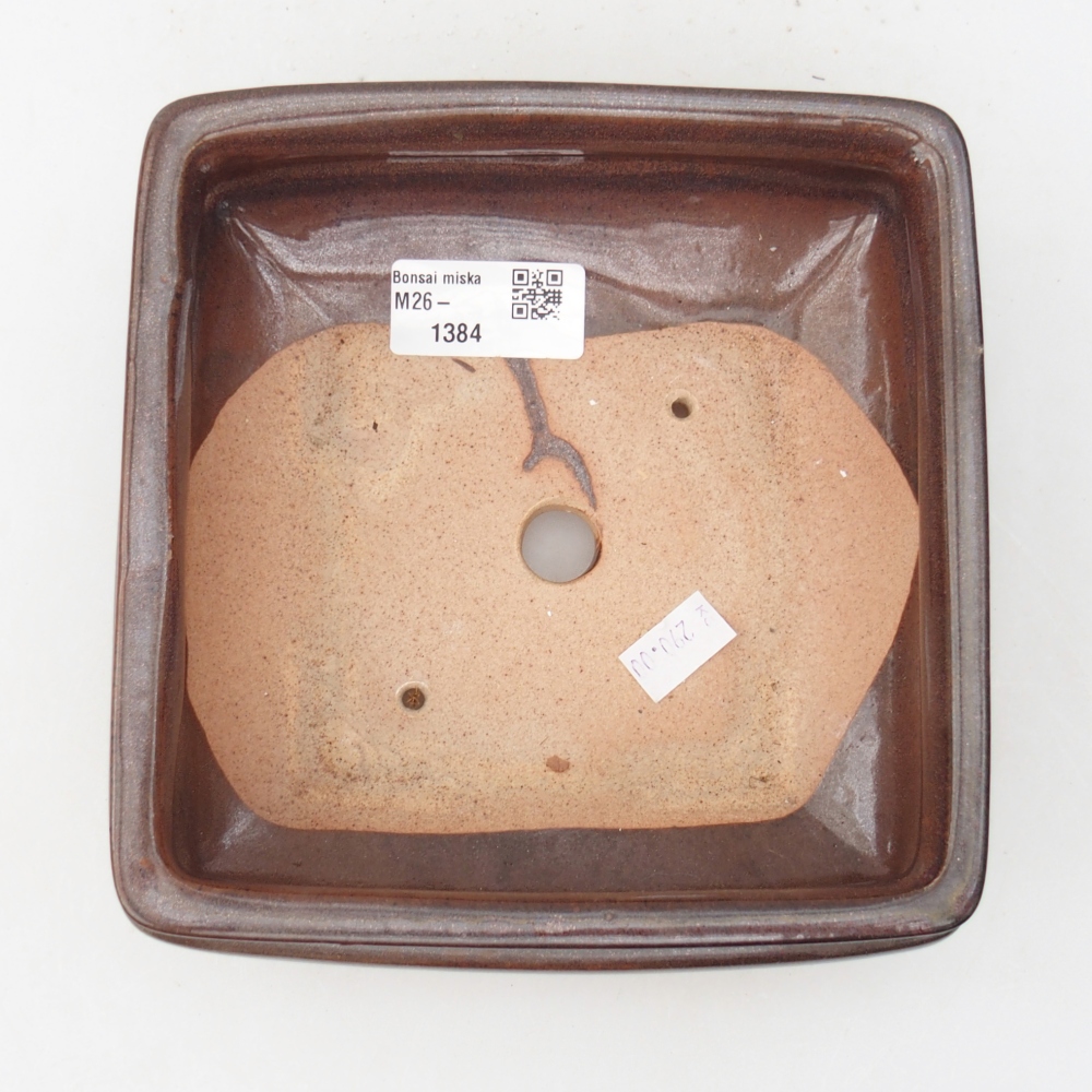Ciotola per bonsai in ceramica 15,5 x 15,5 x 6 cm, marrone