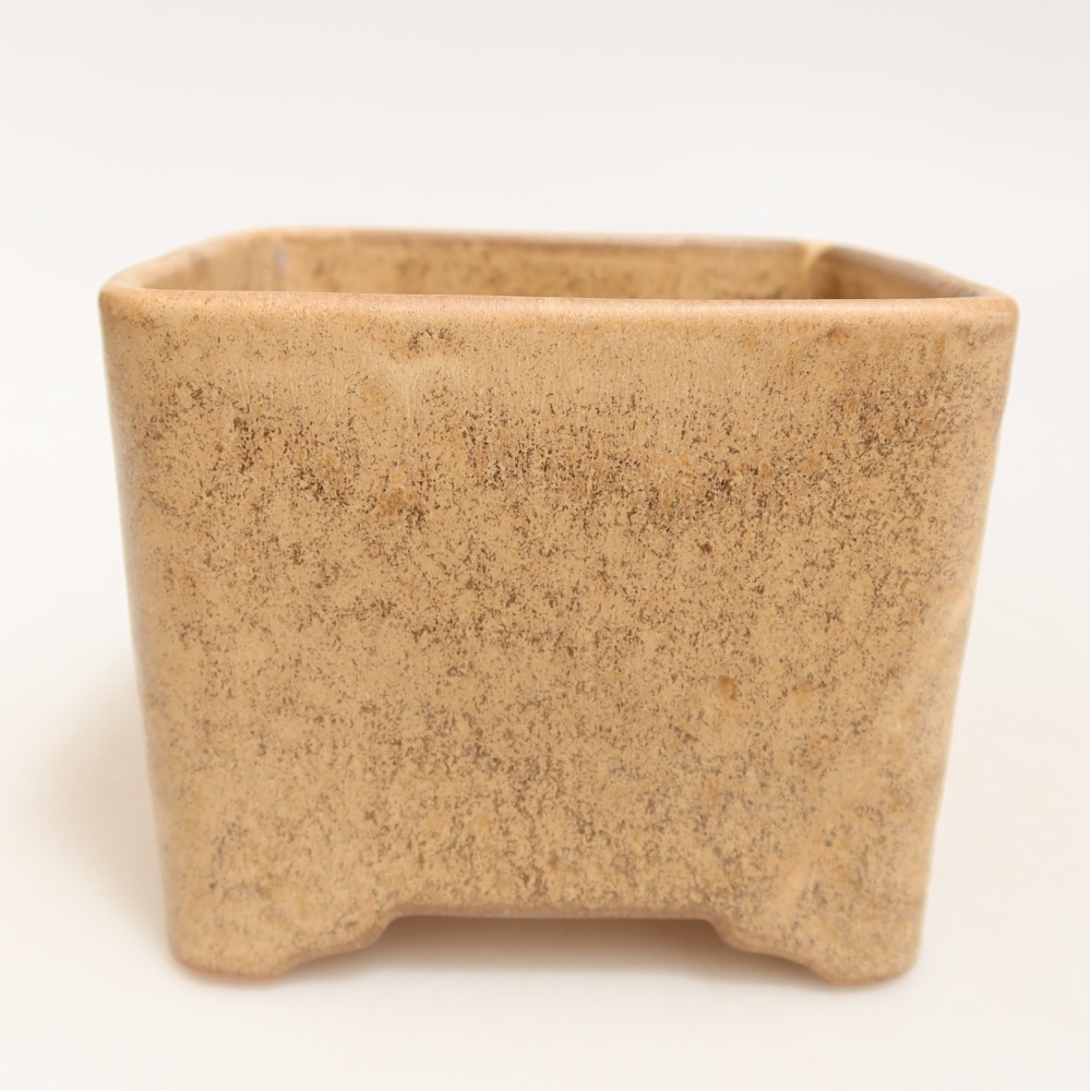Vaso da bonsai in ceramica 10 x 10 x 8,5 cm, colore beige