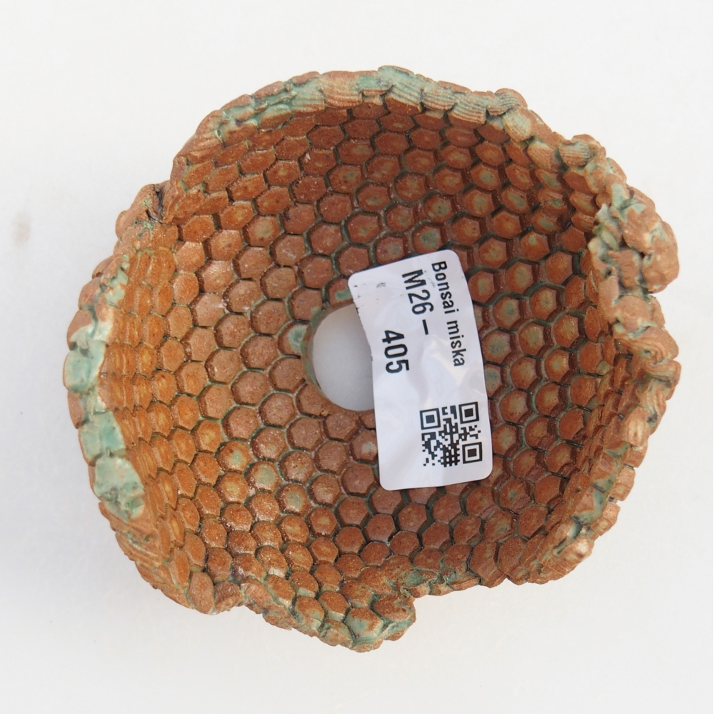 Conchiglia in ceramica 8 x 8 x 6 cm , colore marrone-verde