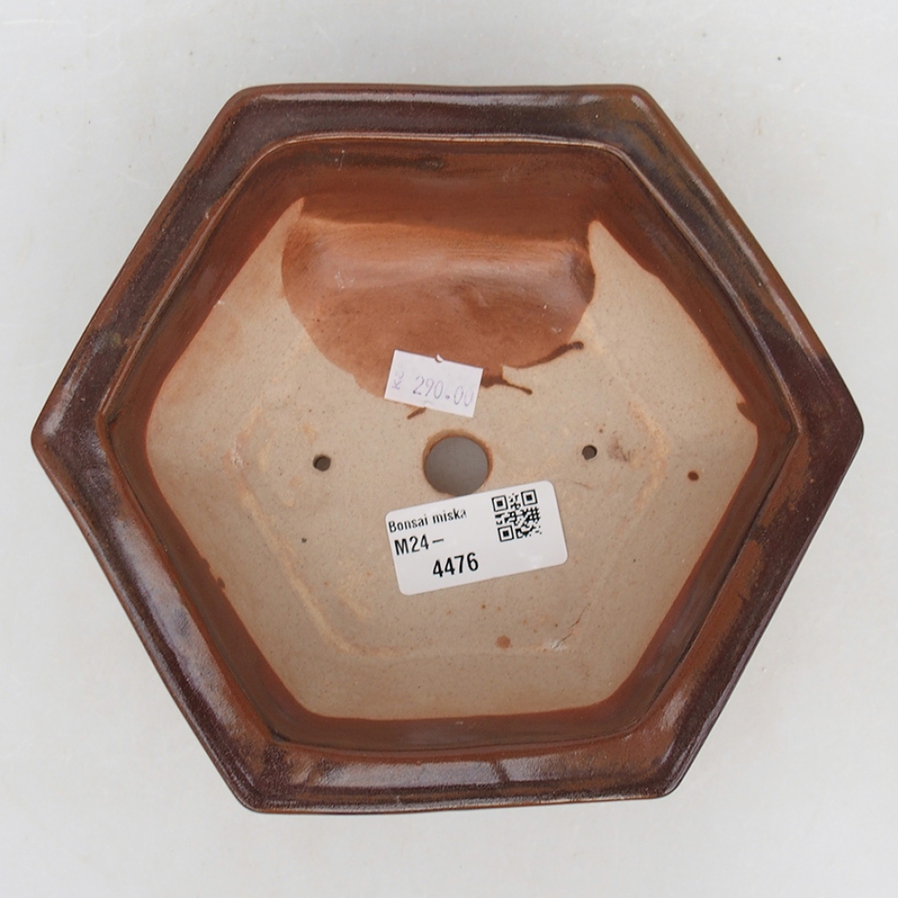 Ciotola bonsai in ceramica 17 x 15 x 6 cm, marrone