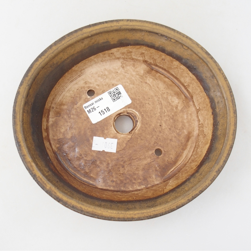 Ciotola per bonsai in ceramica 17,5 x 16 x 4,5 cm, marrone