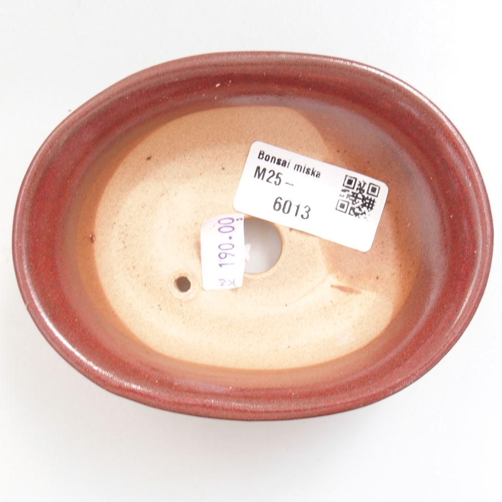 Ciotola bonsai in ceramica 22 x 17 x 5 cm, verde