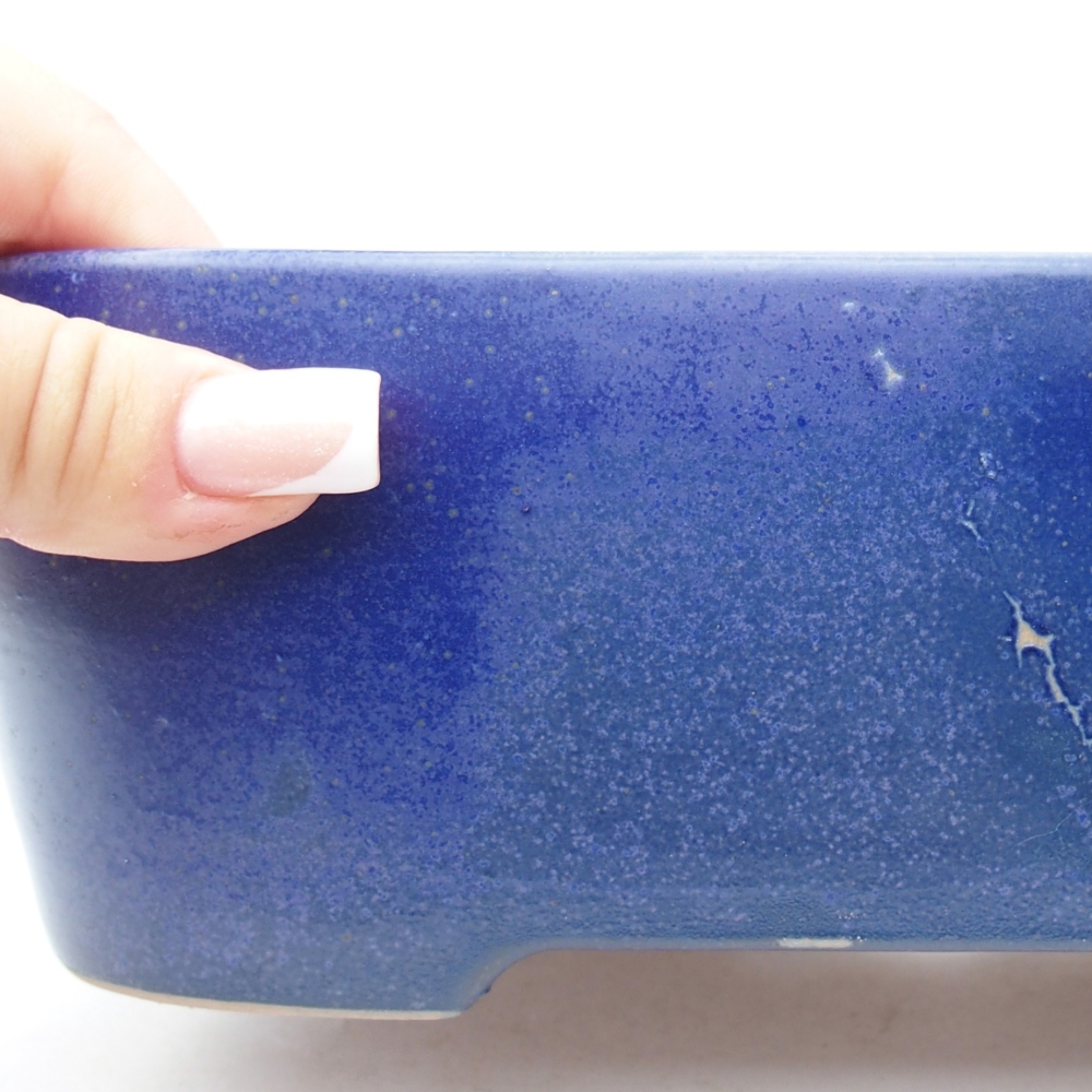 Ciotola bonsai in ceramica 23 x 18 x 7,5 cm, colore blu