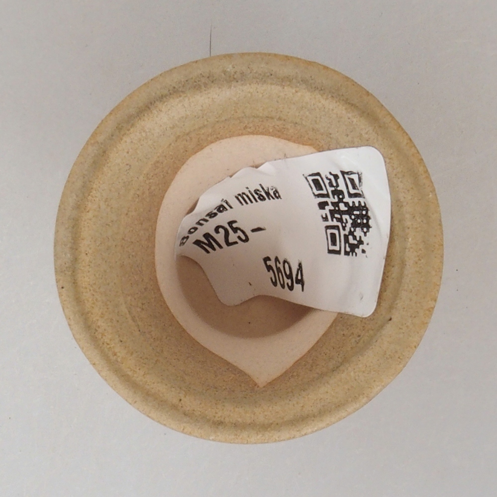 Ciotola per mini bonsai 4 x 4 x 4 cm, marrone