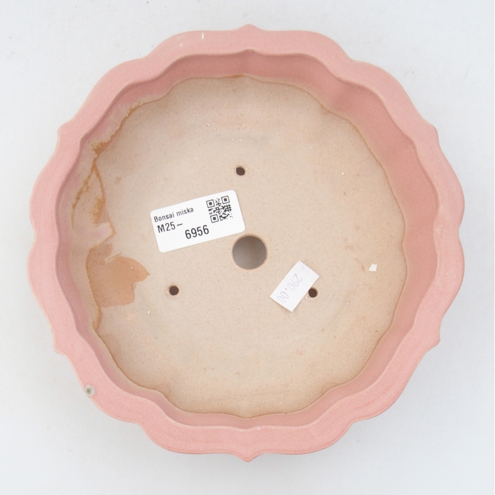 Ciotola bonsai in ceramica 26 x 26 x 8 cm, colore rosso