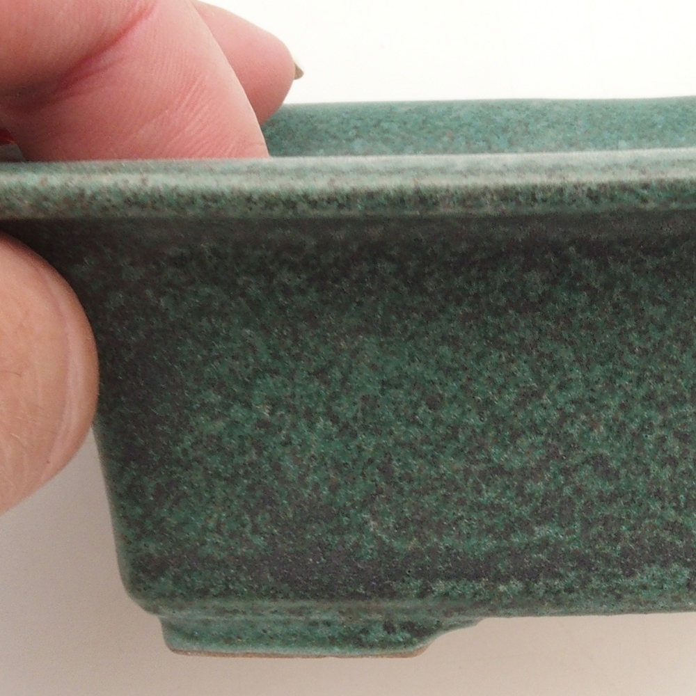 Ciotola per bonsai H11 - 11,5 x 10 x 4 cm - verde