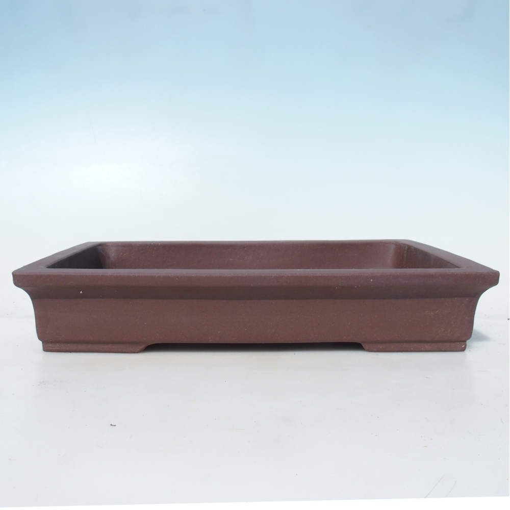 Ciotola per bonsai 36,5 x 24 x 6,5 cm betulla marrone