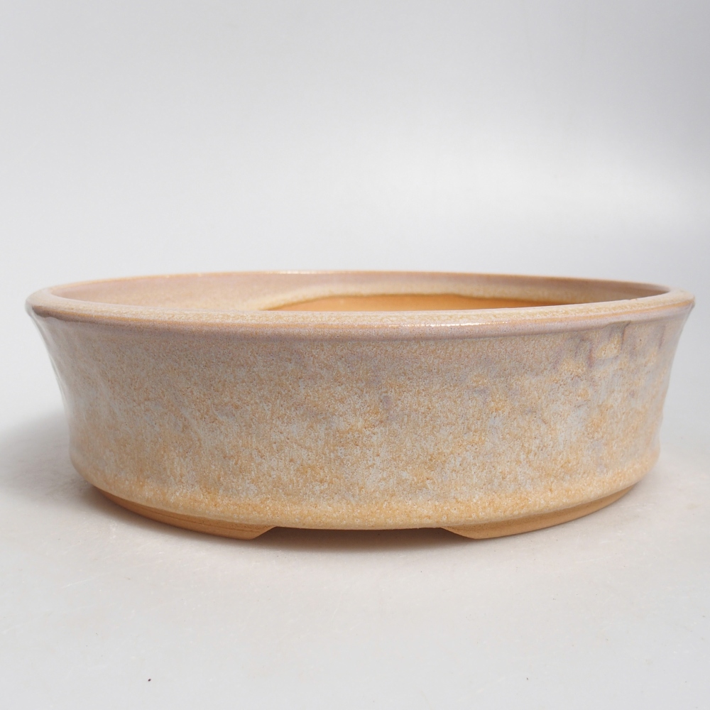 Ciotola per bonsai in ceramica 21 x 21 x 6 cm, colore beige