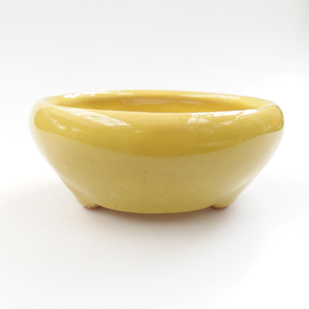 Ciotola bonsai in ceramica 22 x 17 x 5 cm, verde