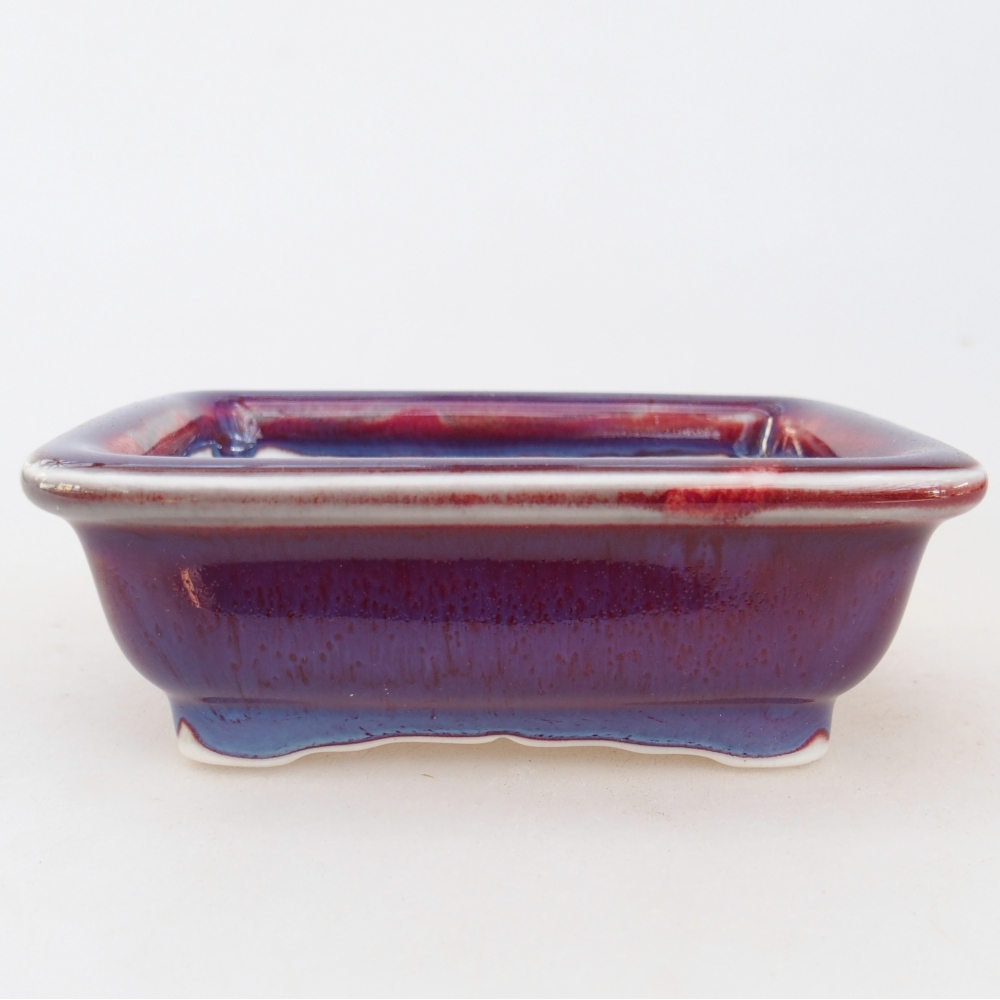 Mini bonsai 10 x 8 x 3,5 cm, colore viola