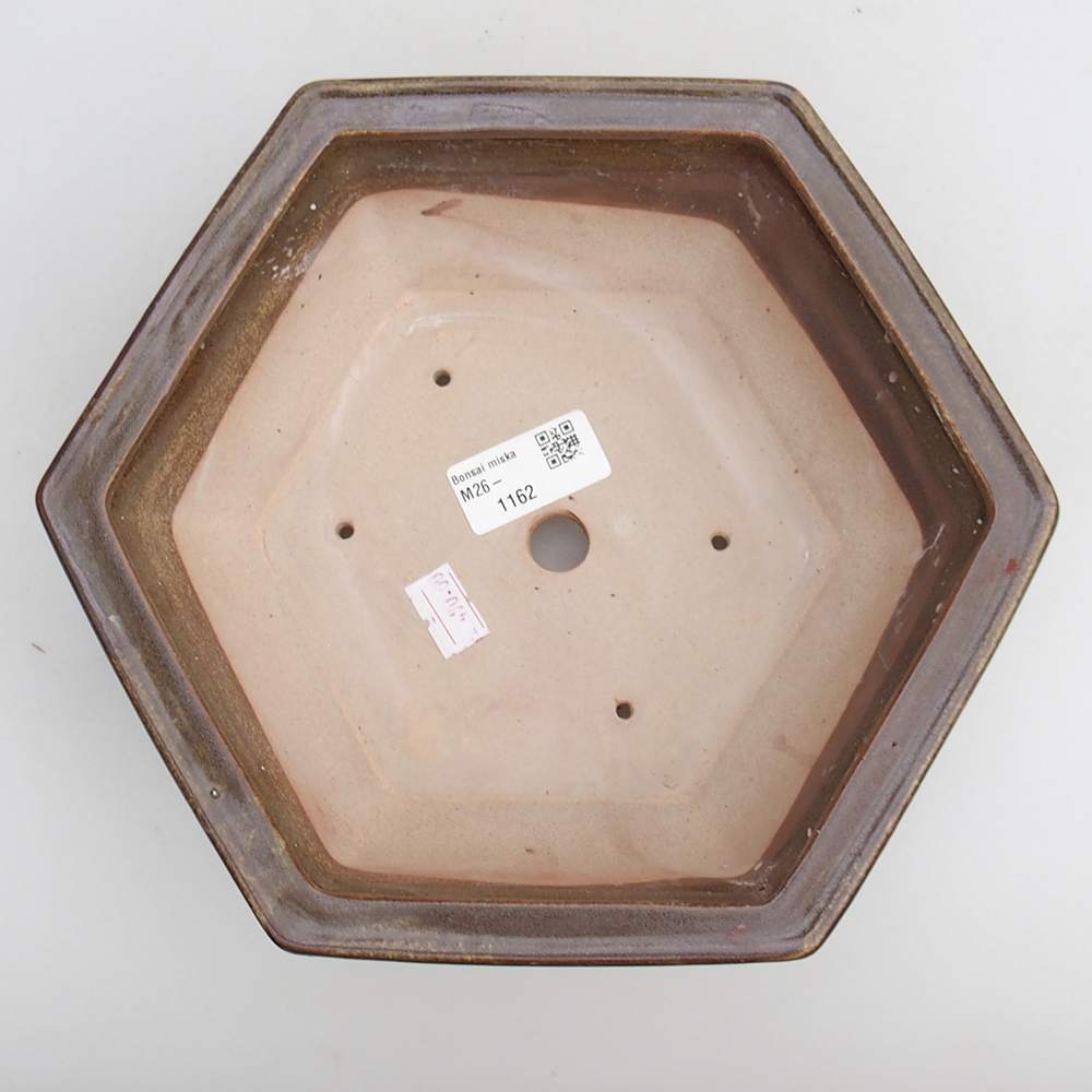 Ciotola bonsai in ceramica 23 x 21 x 7,5 cm, verde-marrone