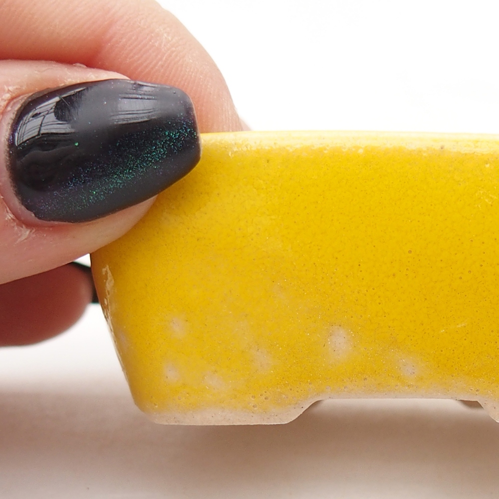 Mini bonsai 6 x 5 x 2,5 cm, giallo