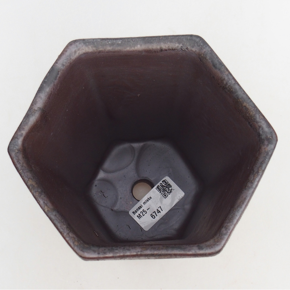 Ciotola per bonsai in ceramica 12,5 x 11,5 x 16,5 cm, marrone