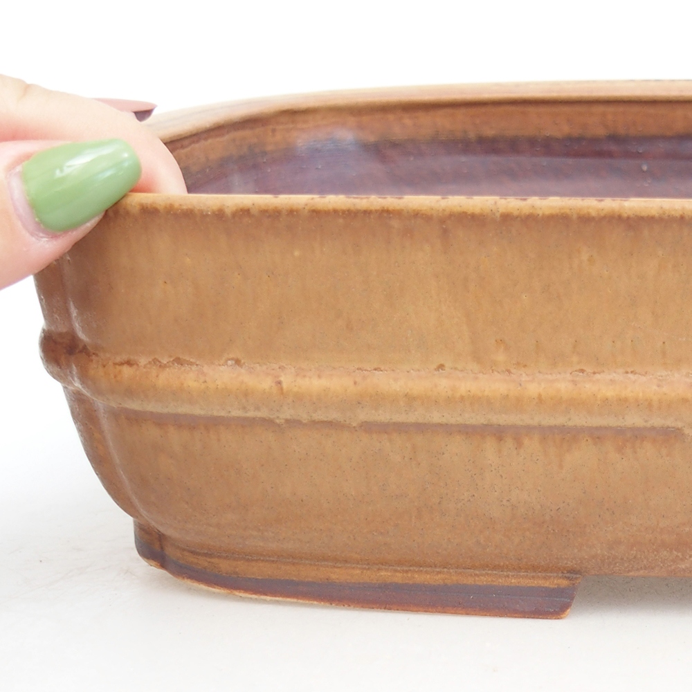 Ciotola bonsai in ceramica 29,5 x 24 x 7 cm, rosa