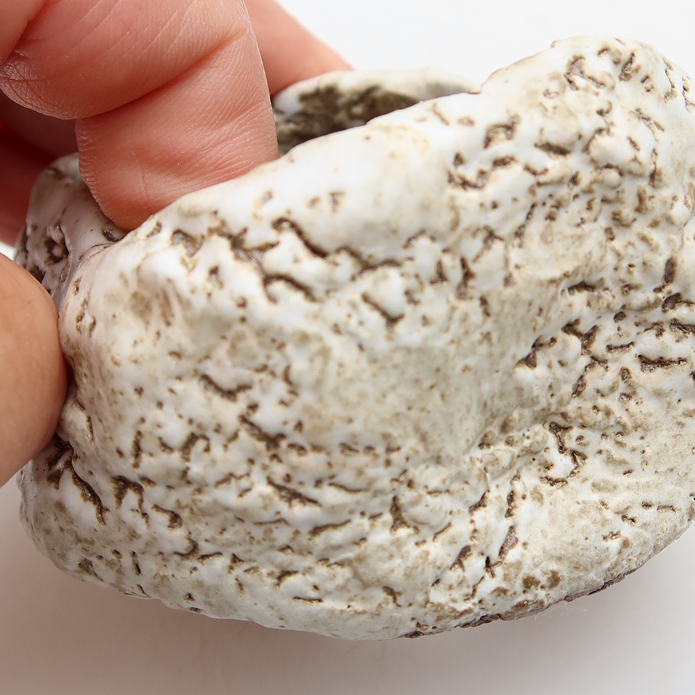 Conchiglia in ceramica  6 x 6 x 5 cm, colore marrone-bianco