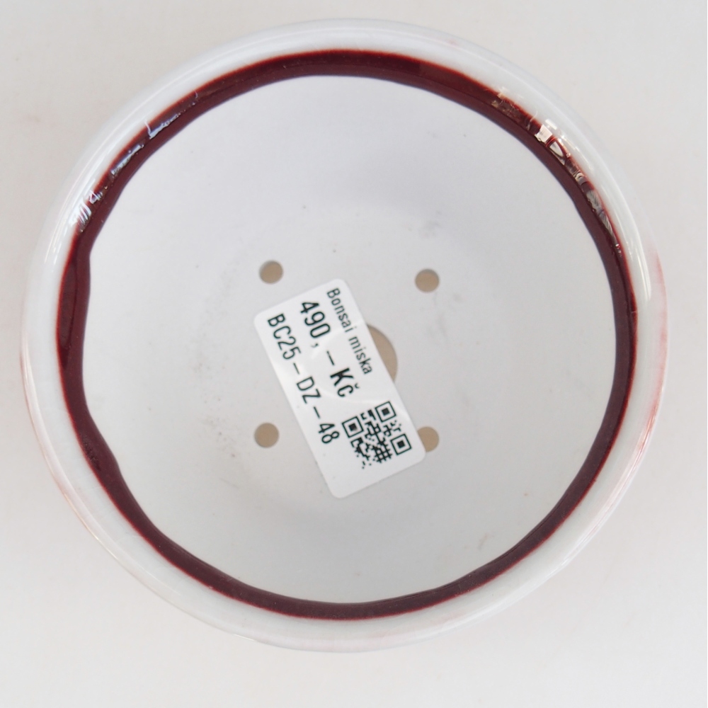 Ciotola per bonsai in ceramica 10,5 x 10,5 x 5 cm, colore rosso