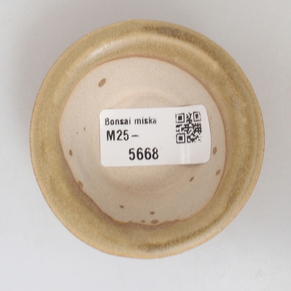 Mini bonsai 7 x 7 x 2,5 cm, marrone