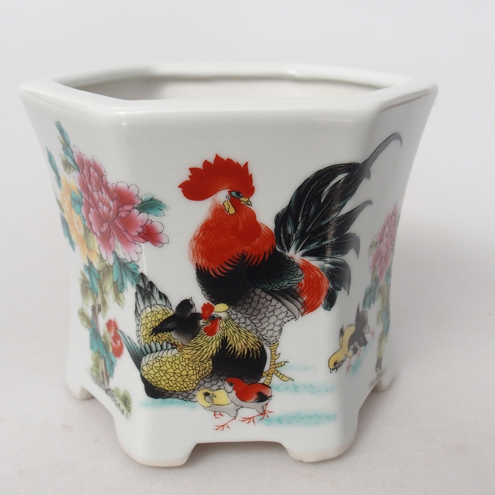 Ciotola per bonsai in ceramica 10,5 x 9,5 x 9 cm, colore bianco