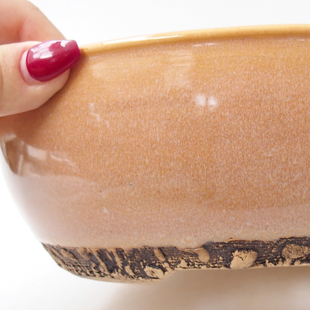 Ciotola per bonsai in ceramica 20,5 x 20,5 x 7,5 cm, colore beige