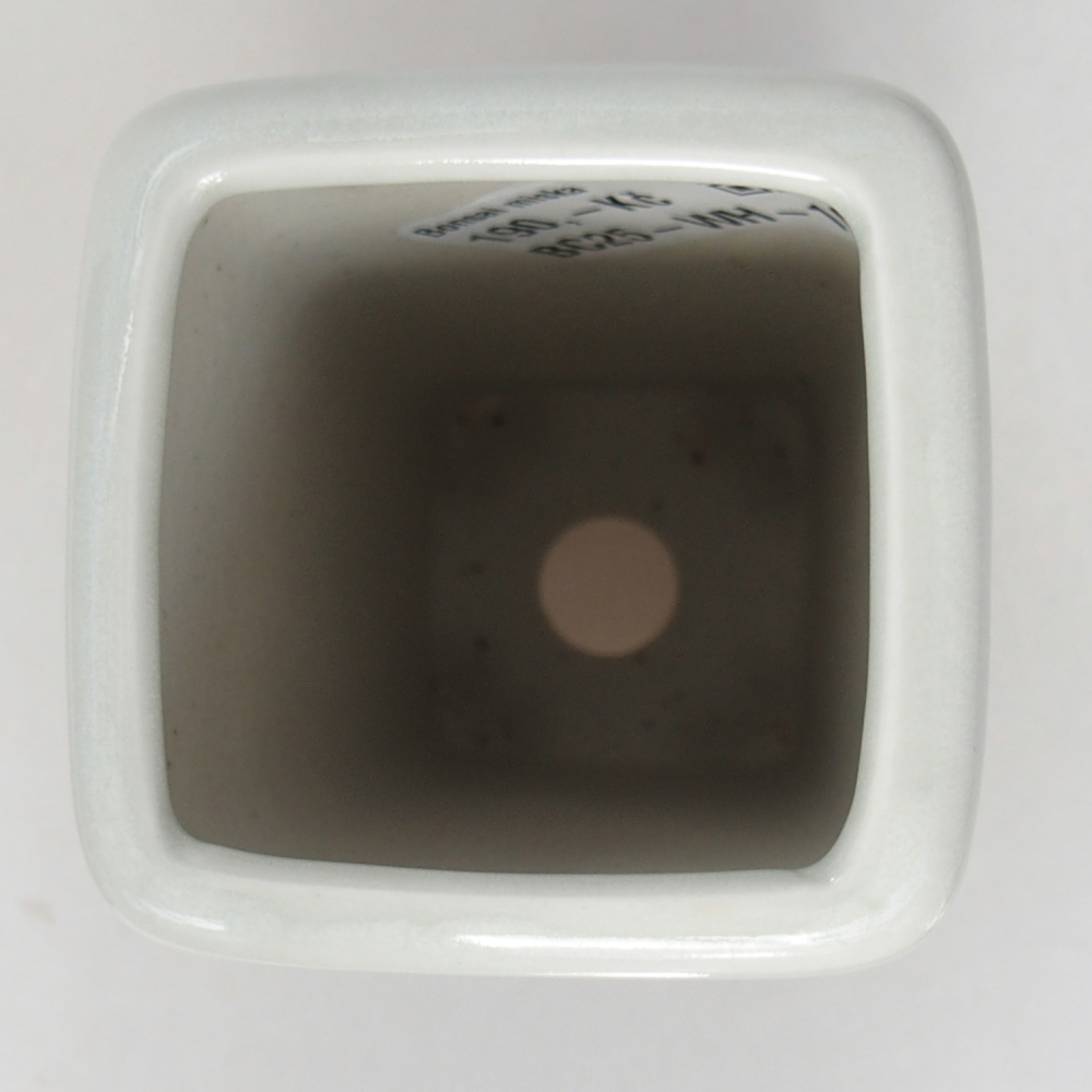 Ciotola per bonsai in ceramica 5,5 x 5,5 x 12 cm, colore bianco