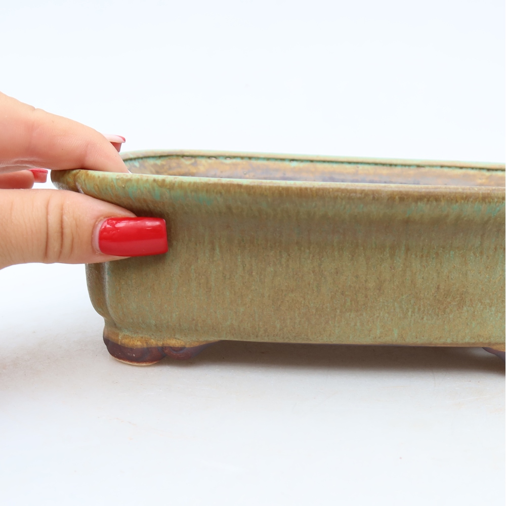 Vaso da bonsai in ceramica 20 x 17,5 x 6 cm, colore verde