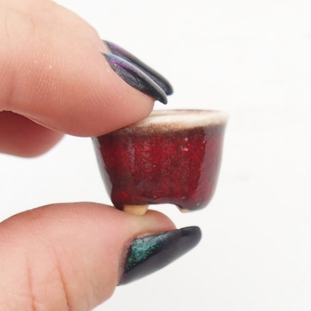 Mini bonsai 2 x 2 x 1,5 cm, colore rosso