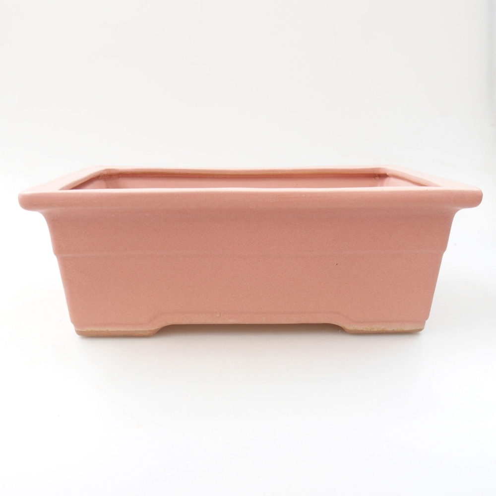 Ciotola bonsai in ceramica 22 x 16 x 8 cm, rosa