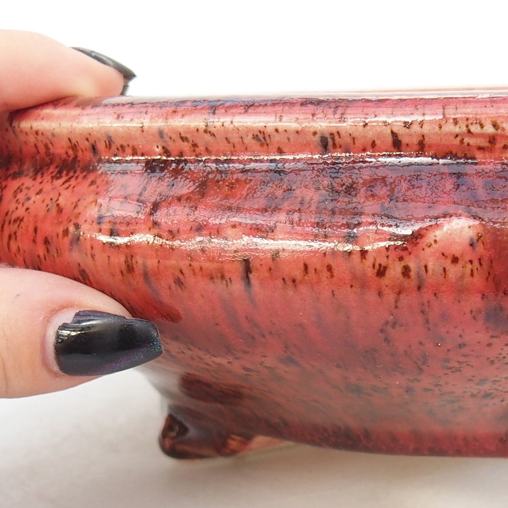 Ciotola per bonsai in ceramica 25 x 25 x 7,5 cm, colore rosso